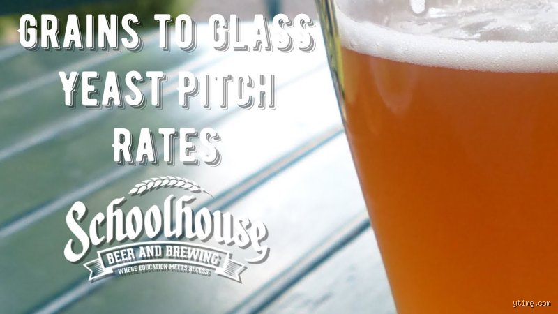 The Ultimate Liquid Math: How Much Yeast to Pitch in 5 Gallons of Beer for Perfect Fermentation