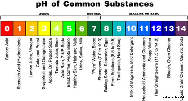 Is Toilet Cleaner Acidic or Alkaline? The Harsh Chemical Reality Hiding in Your Bathroom
