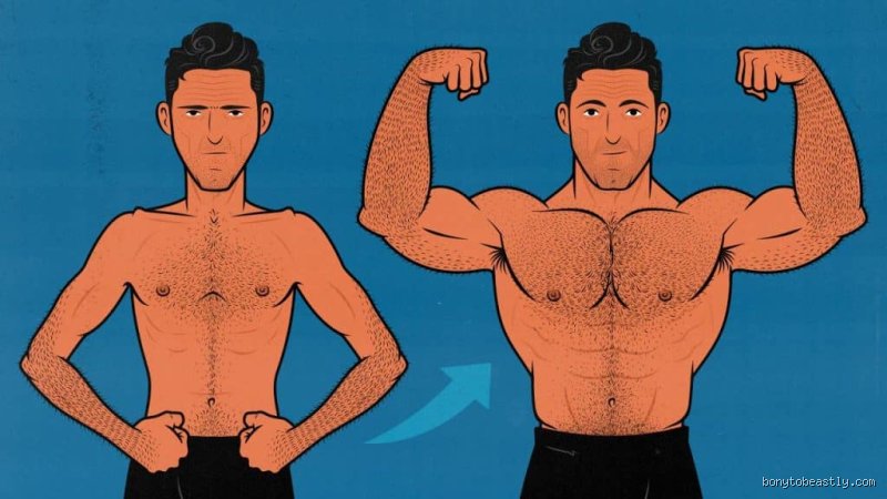What is the hardest age to build muscle?