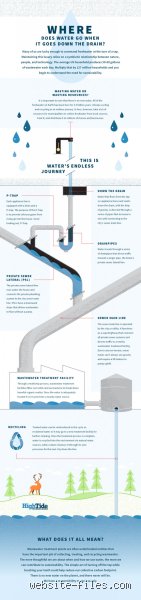 The Vanishing Act: What Makes Water Go Away When It Seems to Disappear Into Thin Air?