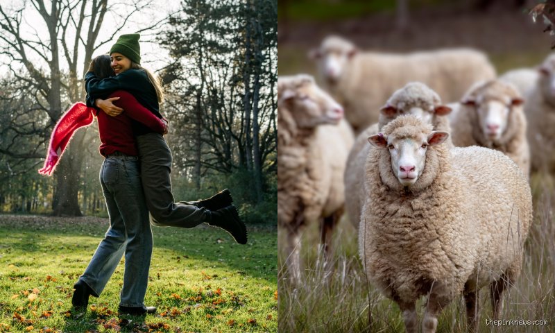 The Evolutionary Enigma of Ovine Sexuality: Can Ewes Be Lesbians or Are We Misreading the Pasture?