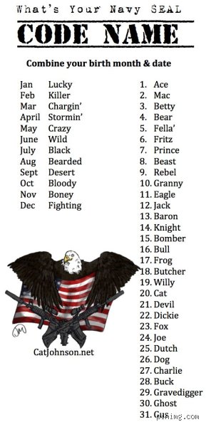 Do Navy SEALs Have Nicknames and Call Signs in Modern Warfare Operations?