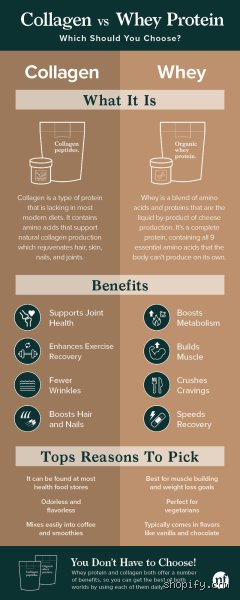 Does Collagen Help with Weight Loss? Separating Wellness Hype From Actual Metabolic Science