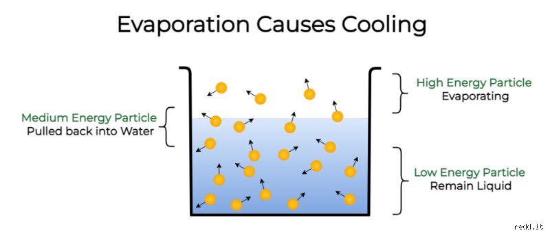 Why Does Evaporation Cause Cooling in Some Scenarios but Traps Suffocating Heat in Others?