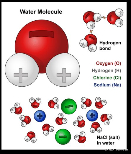 Dissolving the Myth: Does Sodium Chloride Break Down in Water or Just Disappear?