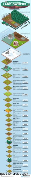 Crowded Deeds: How Many People Can Own One Piece of Land and the Legal Chaos of Infinite Co-Ownership