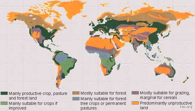 The Finite Feast: How Much of the Land is Suitable for Agriculture on Our Crowded Planet?