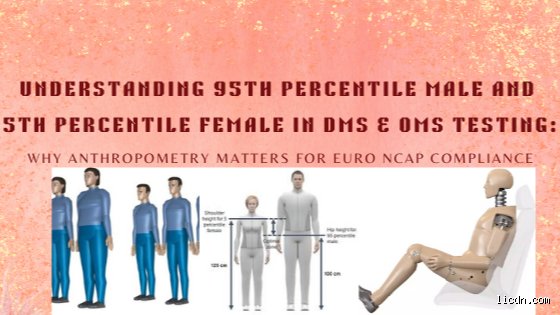 Standing Tall: How Tall is a 95th Percentile Man and Why It Matters For Modern Ergonomics