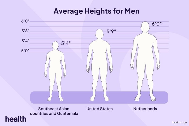 Decoding the Tape Measure: How Tall Is a Normal Guy Around the Globe Right Now?