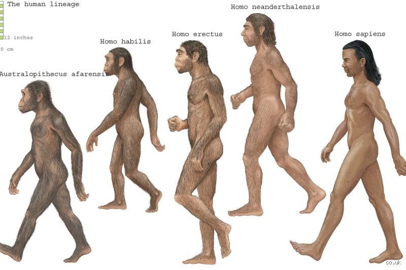 How Tall Were Humans 7000 Years Ago? Unearthing the Surprising Truth Hidden in Neolithic Bones