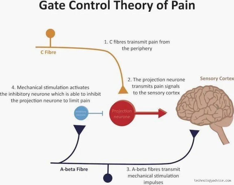 How to Mentally Turn Off Pain: The Advanced Neurofeedback and Cognitive Strategies Reshaping Modern Pain Management