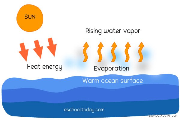Is Evaporation the Sun? Deconstructing the Thermodynamic Relationship Between Solar Radiation and Phase Change (Part I)