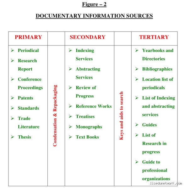 Navigating the Noise: What Are Five Sources of Information We Rely on Every Day?