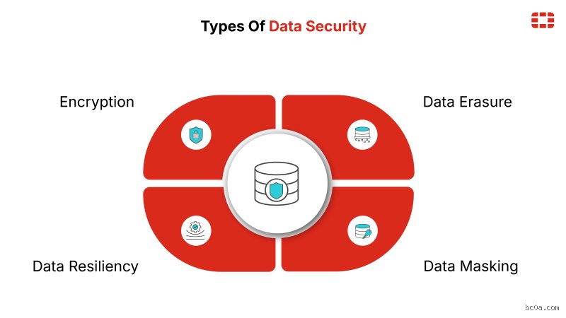 Why the 4 Components of Data Security Form the Only Shield Standing Between Your Business and Chaos