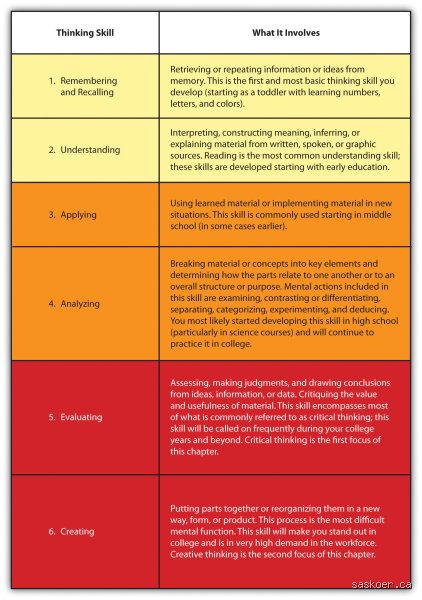 Beyond the Brainstorm: Mastering the 4 Types of Thinking Styles to Rewrite Your Cognitive Blueprint