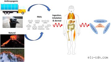 The Invisible Pyre: Unmasking the Silent Dangers of Polycyclic Aromatic Hydrocarbons in our Modern Environment