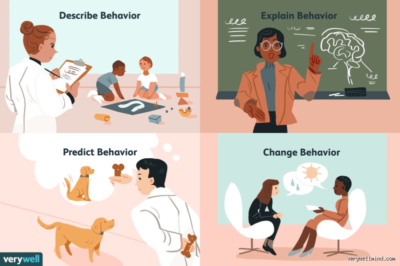 Decoding the Moral Compass of the Mind: What Are the Four Core Values of Psychology and Why They Matter Today