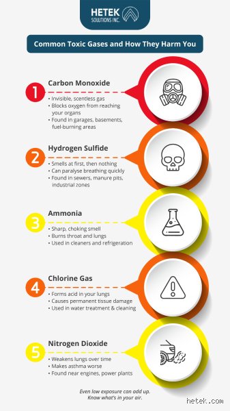 Silent Killers in the Air: What Are the Most Toxic Gases to Humans and How Do They Destroy Life?