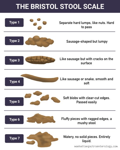 What Color Is Poop When the Liver Is Detoxing? The Scientific Truth Behind Your Stool and Bile Flow