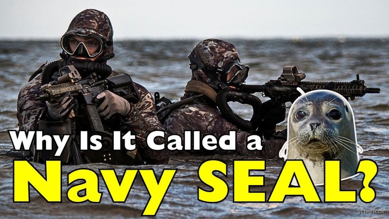 What Do Navy SEALs Call Themselves inside Their Secretive Operator Culture?