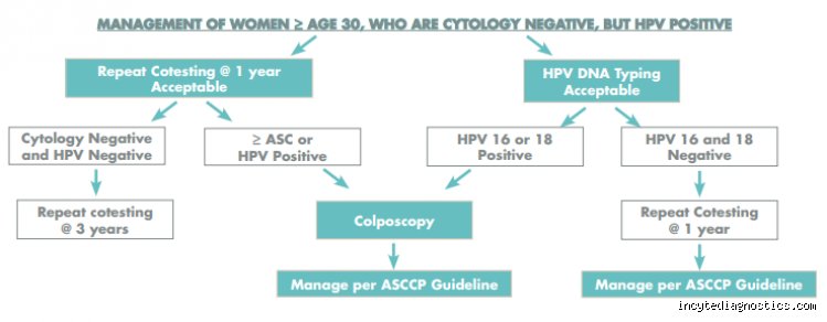 Navigating the Medical Paradox: What Does It Mean If Your Pap Is Normal But HPV Is Positive?