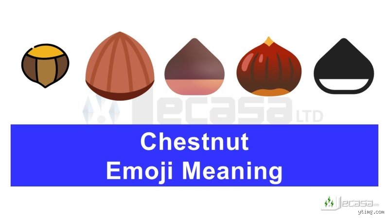 Cracking the Code: What Does the Chestnut Emoji Mean From a Guy in Today’s Digital Landscape?