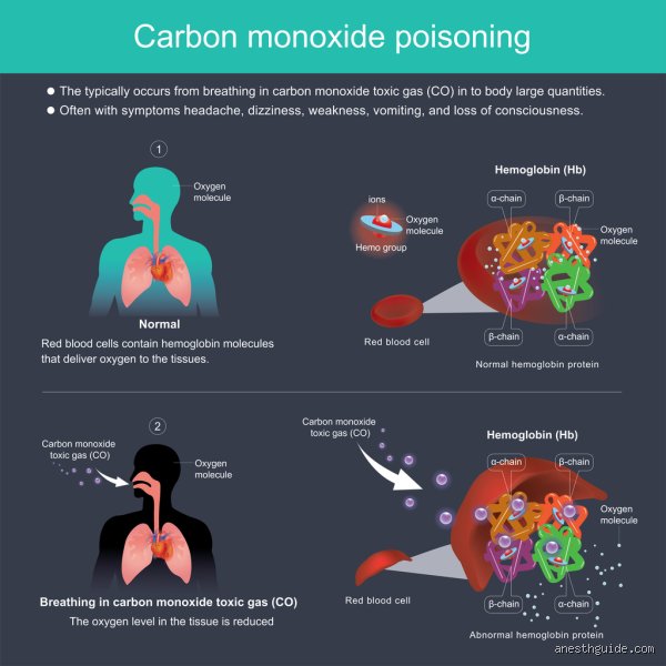 What does toxic if inhaled mean?