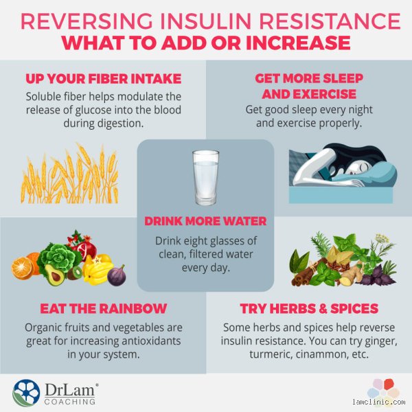 What Drink Can Reverse Insulin Resistance? The Hard Truth and Science Behind Liquid Metabolic Fixes
