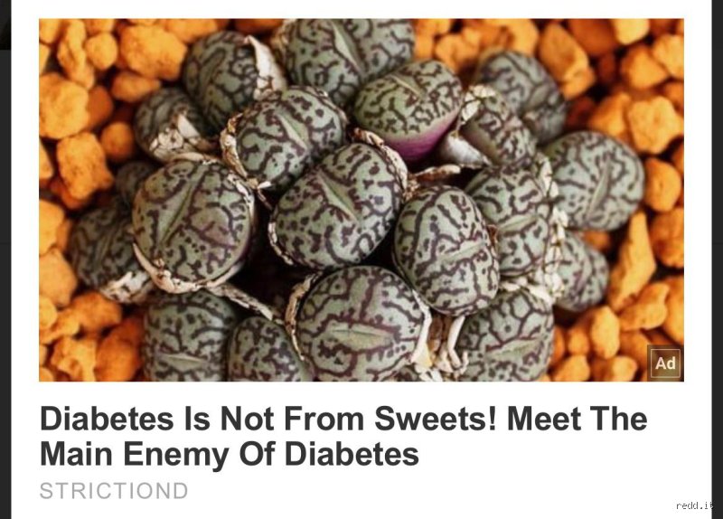 What Food Is the Number One Enemy of Diabetes? The Shocking Truth Behind Your Grocery Cart