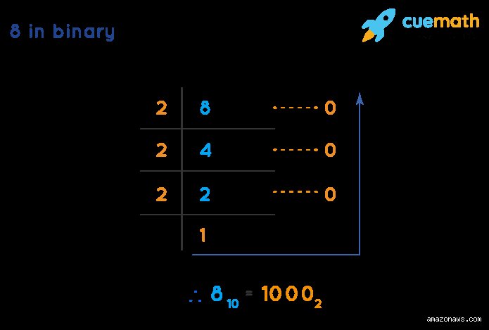 Why the Number 8 in Binary Code is the Hidden Blueprint of Our Digital Universe