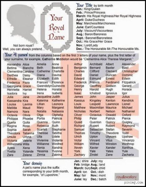 Beyond Majesty: What Is a Name for Royalty and How Do These Titles Actually Work?