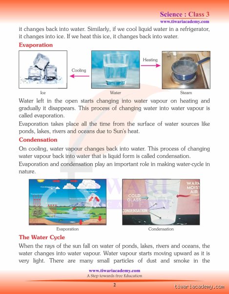 The Great Invisible Vanishing Act: Understanding Evaporation for Young Scientists (Part One)