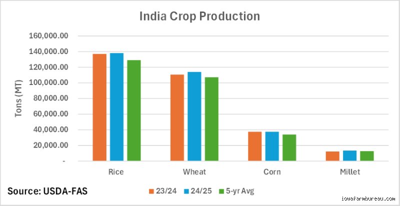 The Sticky Truth About What Is India's Main Agriculture and the Millions It Feeds