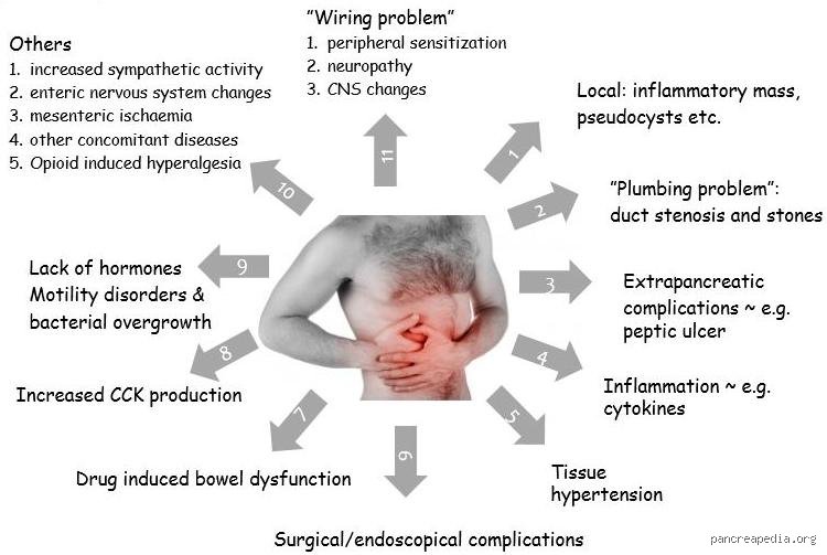 Unmasking the Agony: What Is Pancreatitis Pain Similar To and How Does It Compare to Other Medical Emergencies?