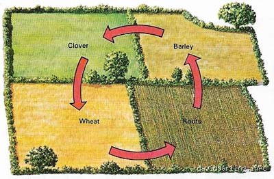 The Revolutionary Legacy of the Norfolk Four-Course System: How a Simple Crop Rotation Reshaped Modern Global Agriculture