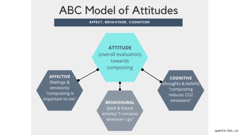 Cracking the Consumer Mind: What Is the ABC Model in Marketing and Why Does It Rule Modern Brand Strategy?