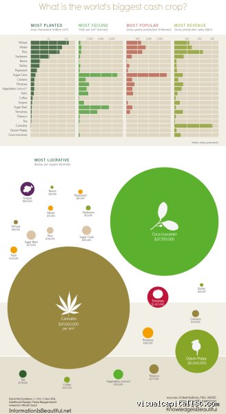 What is the most expensive crop to farm? The hidden economics of high-value agriculture