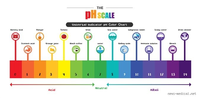 The Chemistry of Life: What is the pH of Human Blood and Why It Matters