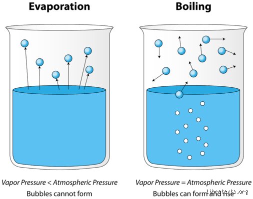 The Hidden Thermodynamics of Vaporization: What Is the Physics of Evaporation and Why Does It Matter?