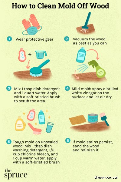 What kills black mold permanently?