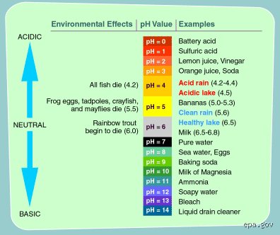 The Chemical Reality of Skies: What pH is Rain and Why Clean Water Isn't Neutral