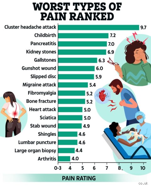 The Anatomy of Agony: What’s the Worst Pain You Can Feel According to Medical Science?