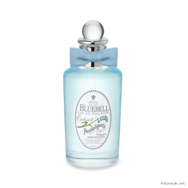 The Olfactory Legacy of the People's Princess: What Was Princess Diana's Favorite Perfume and How It Defined Her Style