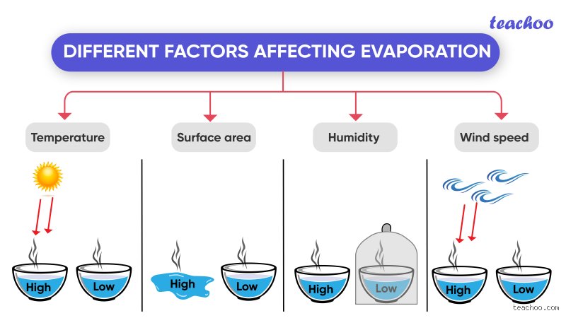 The Physics of Drying Fast: Which Condition Speeds Up Evaporation the Most?