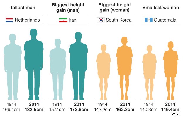 The Altitude of Humanity: Which Ethnicity is the Tallest and Why Geography Trumps Genetics