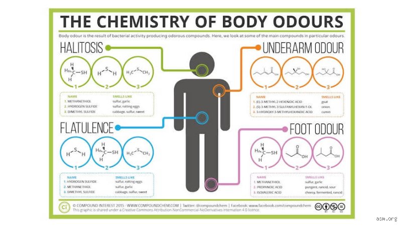 The Biology of Sweat: Which Race Has the Strongest Body Odor and the Science Behind Our Scent Profiles