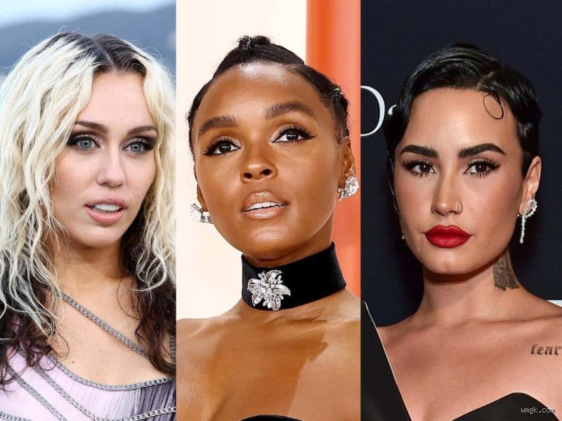 Beyond the Binary: Who is a Famous Pansexual Redefining Modern Celebrity Culture?
