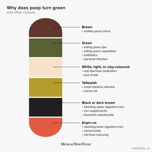 Why Is My Poop Green Mucus? Decoding Your Body’s Sudden, Bizarre Gastrointestinal Distress Signals
