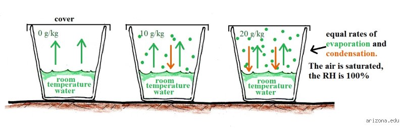 The Wet Physics Dilemma: Will Water Evaporate at 100% Humidity or Are We Trapped in Cosmic Stagnation?