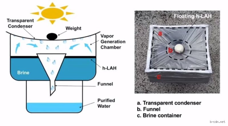 Does Evaporation Purify Water? The Hidden Chemistry and Surprising Limits of Nature’s Distillation Process